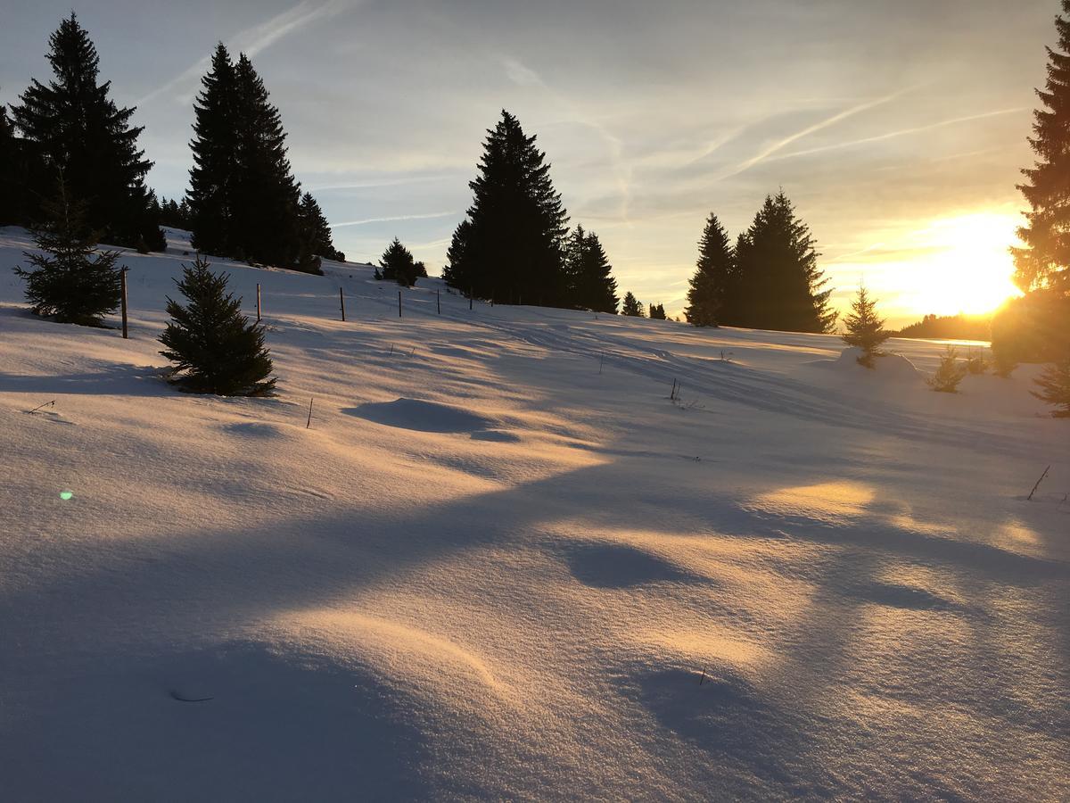 Schwarzwald Aparthotel Kräutle Feldberg  Exterior foto